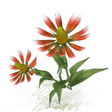 beyaz arkaplanda izole edilmiş çiçek