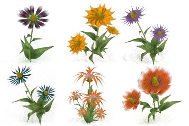 Beyaz arkaplanda güzel çiçekler