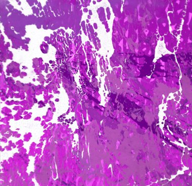 metin için alanı olan grunge arkaplanı 