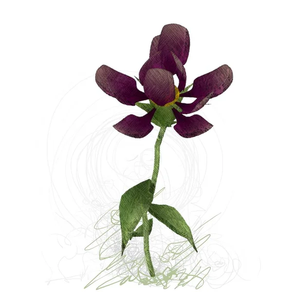 Akwarela Kwiat Orchidei — Zdjęcie stockowe
