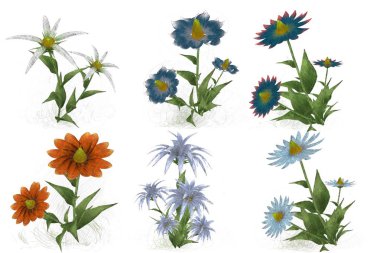 Beyaz arka planda güzel suluboya çiçekler