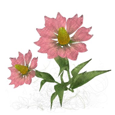 beyaz zemin üzerine suluboya çiçek