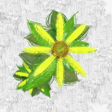 beyaz arkaplanda yeşil yapraklar