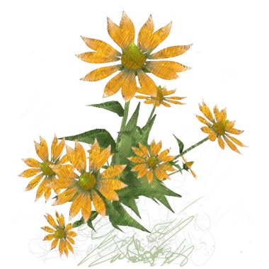  2D çizim. Çiçek İllüstrasyonu. Klasik botanik çizimleri. El yapımı çizim. Dekoratif izole çiçek resmi.