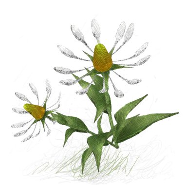 beyaz zemin üzerine suluboya çiçek