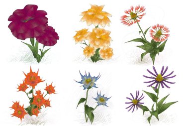 Beyaz arkaplanda güzel çiçekler