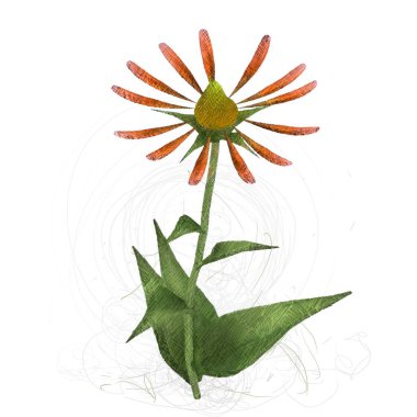 beyaz arkaplanda izole edilmiş çiçek