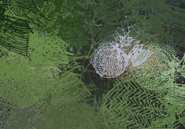 Bahçedeki yeşil çimenler