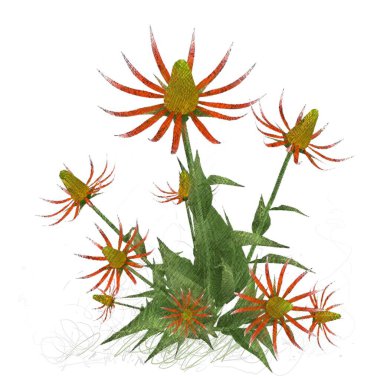 beyaz zemin üzerine suluboya çiçek