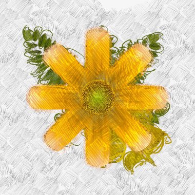 Beyaz arkaplanda sarı yapraklar