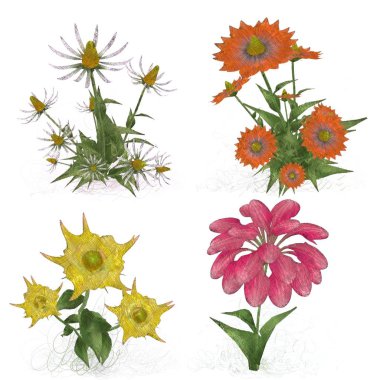 Beyaz arka planda suluboya çiçekler seti