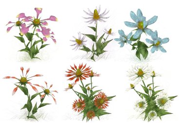 beyaz zemin üzerine suluboya çiçek