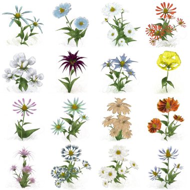 Beyaz arka planda suluboya çiçekler seti