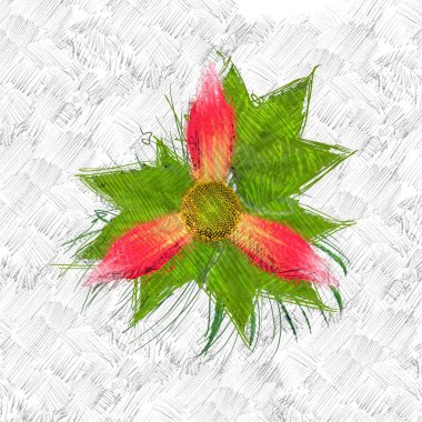 beyaz bir arka plan üzerinde noel yaprakları