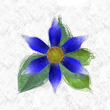 Beyaz arkaplanda güzel bir çiçek