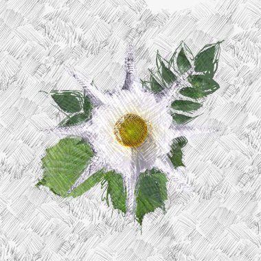 Dekoratif çiçek resmi. Çiçek İllüstrasyon. Vintage botanik sanat. El yapımı çizim.