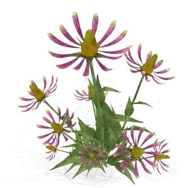 Beyaz arkaplanda izole edilmiş noel ağacı