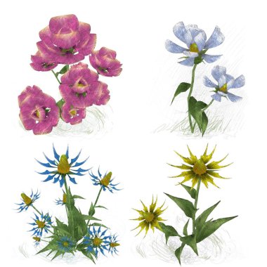 Beyaz arkaplanda güzel çiçekler