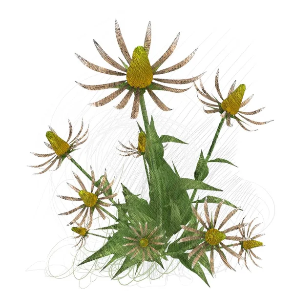 Beyaz arka planda izole dağınık grungy çiçekler