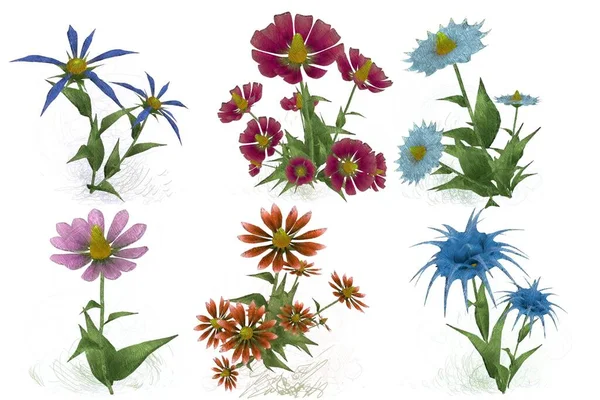 Beyaz arka planda suluboya çiçekler seti