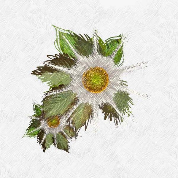 Renkli çiçek doku arka plan 