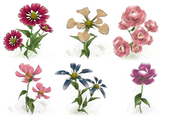 Beyaz arka plan üzerinde izole güzel suluboya çiçek