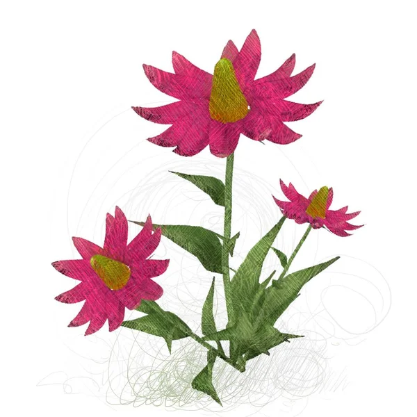 Stökigt Grungy Blommor Isolerade Vit Bakgrund — Stockfoto