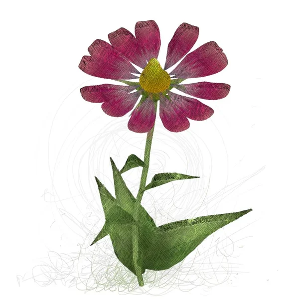 Rosa Blommor Isolerad Vit Bakgrund — Stockfoto