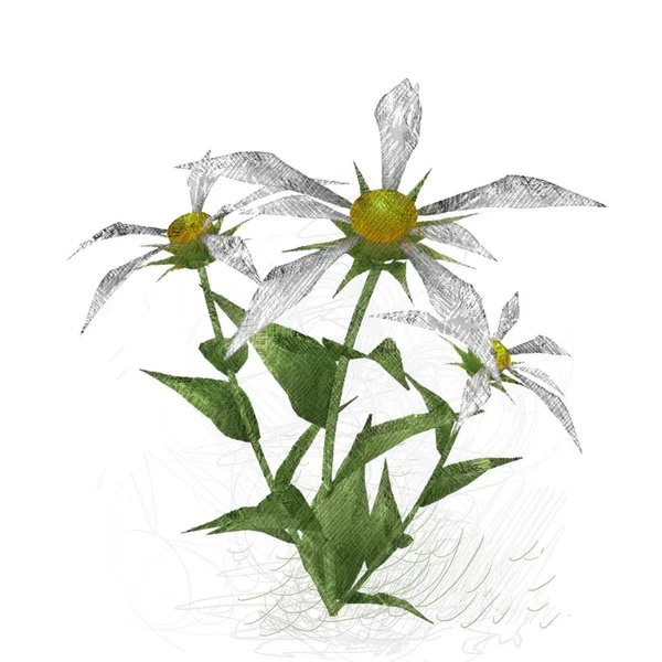 Beyaz Zemin Üzerine Suluboya Çiçek — Stok fotoğraf
