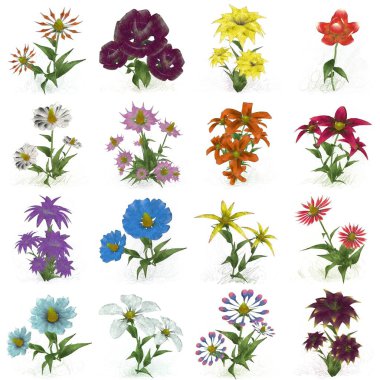 Beyaz arkaplanda güzel çiçekler