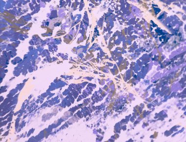 Metin için yeri olan boya lekeleriyle soyut arkaplan