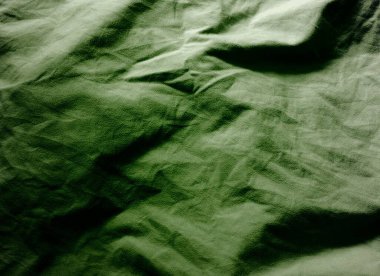 yeşil yaprakların arkaplanı