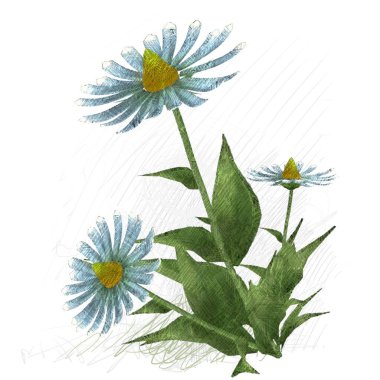 beyaz zemin üzerine suluboya çiçek