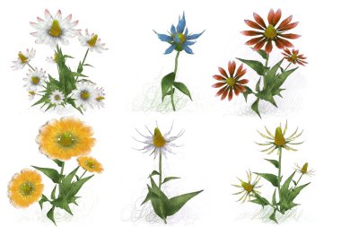 Beyaz arka planda suluboya çiçekler seti