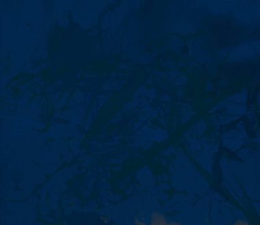 metin için alan ile arka planda soyut renkli lekeler