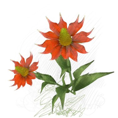 Beyaz arka planda izole dağınık grungy çiçekler