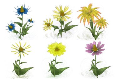 Beyaz arka planda güzel suluboya çiçekler