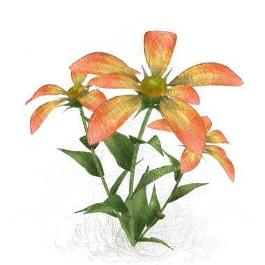 Beyaz arkaplanda güzel çiçekler 