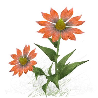 Beyaz arkaplanda güzel çiçekler