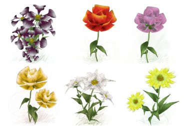 Beyaz arkaplanda güzel çiçekler