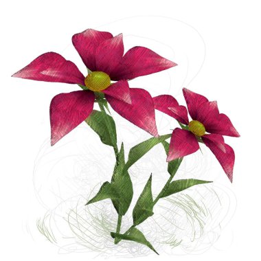 kırmızı gül beyaz arkaplanda izole