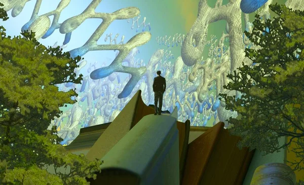 Parktaki güzel çiçekler.