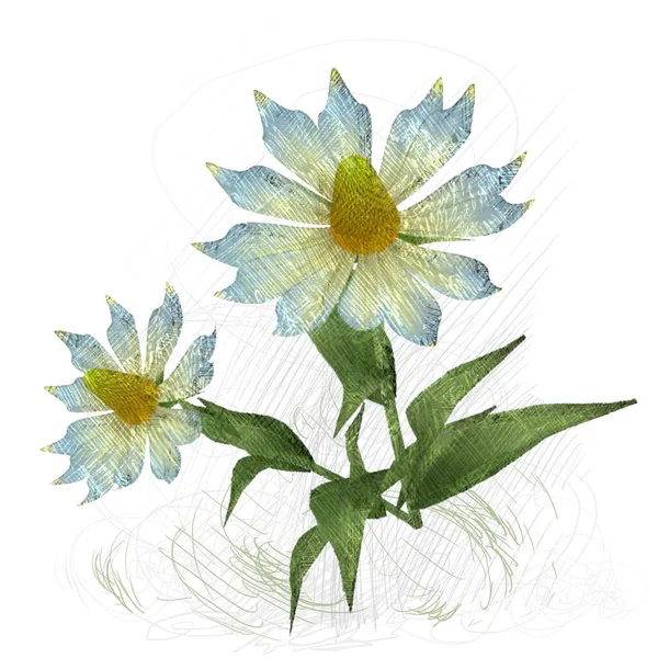 Beyaz arka planda izole dağınık grungy çiçekler