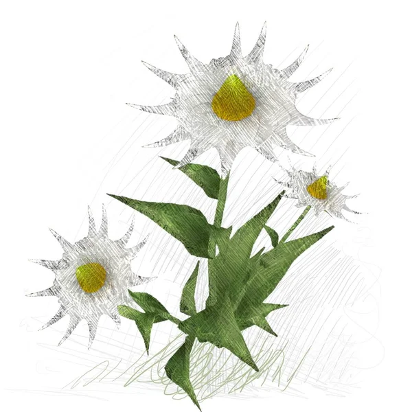 Akvarell Virágok Fehér Háttér — Stock Fotó