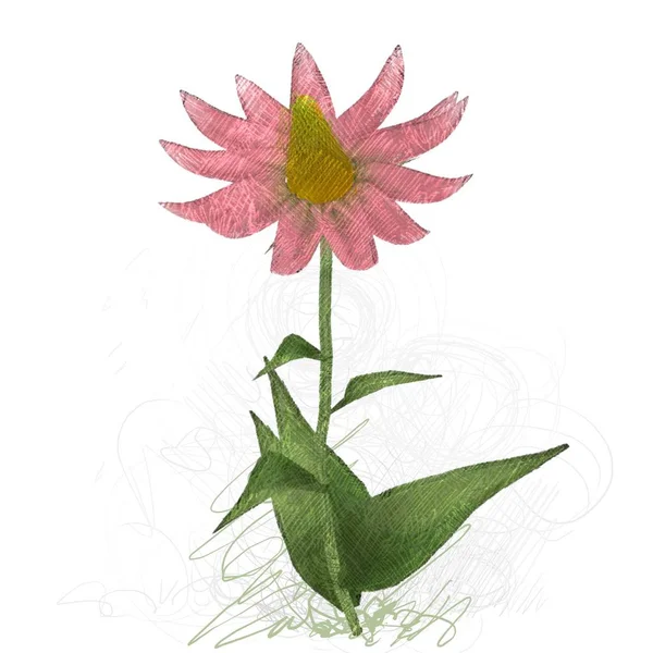 Beyaz arkaplanda güzel çiçekler 