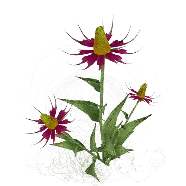 Beyaz arkaplanda güzel çiçekler