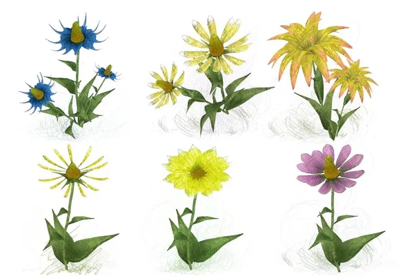 Beyaz arka planda güzel suluboya çiçekler