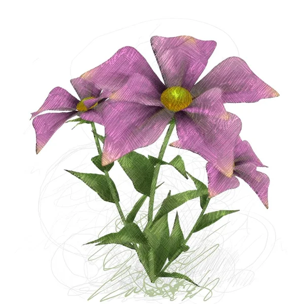 Beyaz arkaplanda güzel çiçekler