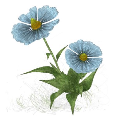 beyaz zemin üzerine suluboya çiçek