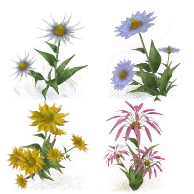 Çiçekli çiçek deseni